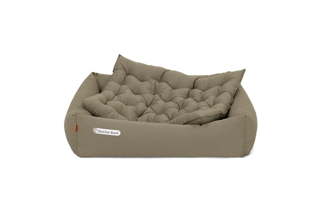 Orthopedic dog bed