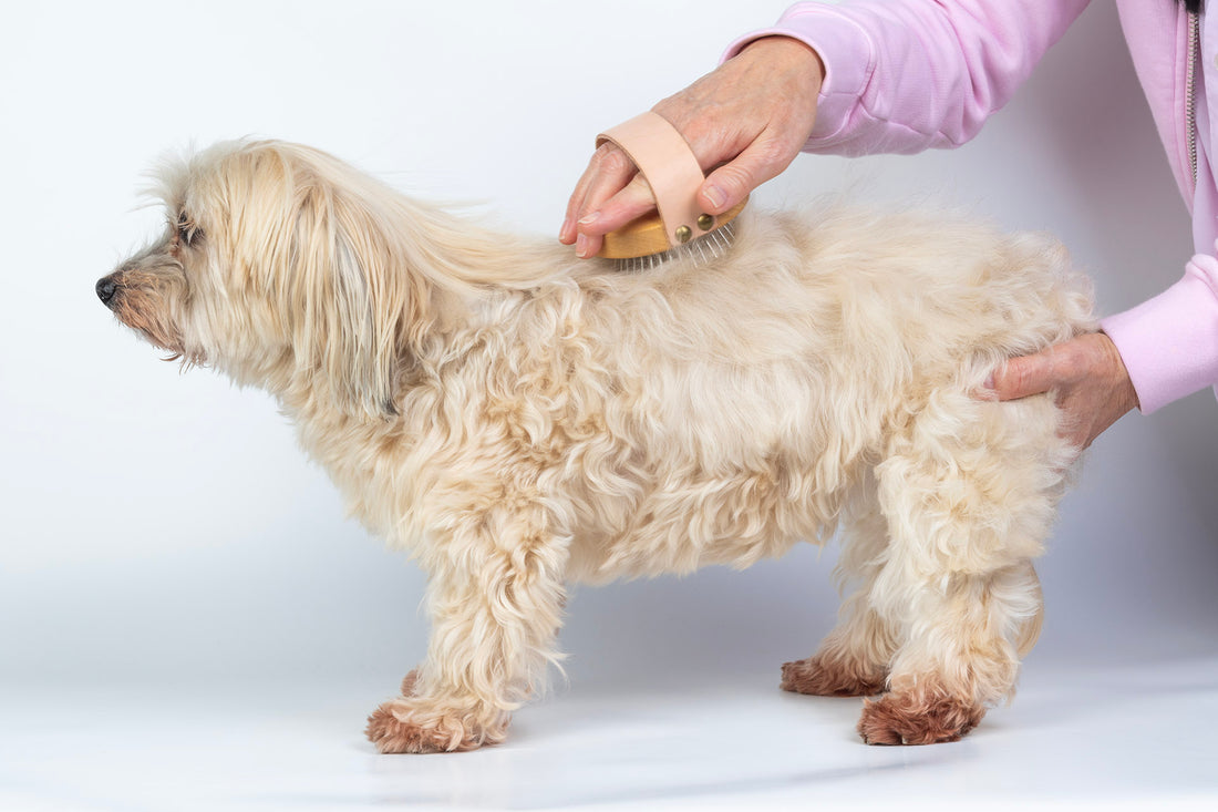 Dog brush long hair