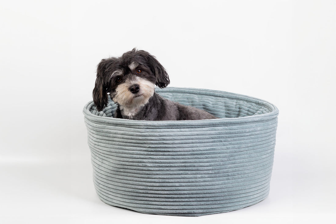 Dog basket corduroy